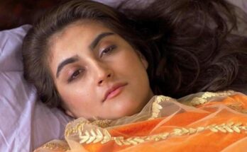 Lab Doxie Mix Explained: Temperament, Size, Health, and Care