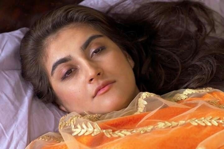 Lab Doxie Mix Explained: Temperament, Size, Health, and Care