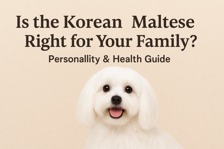 Is the Korean Maltese Right for Your Family? Personality & Health Guide