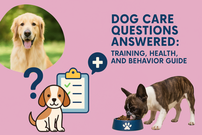Dog Care Questions Answered: Training, Health, and Behavior Guide