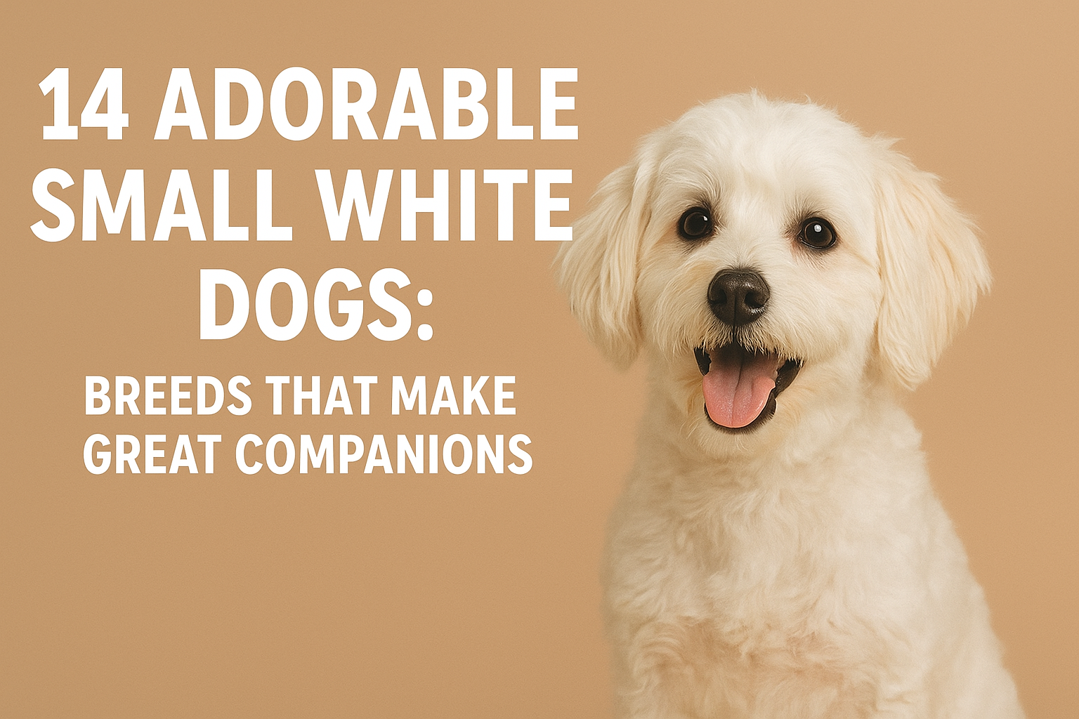 14 Adorable Small White Dogs