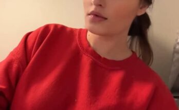 Jack Russell Chihuahua Mix Breed Profile: Temperament, Health, and Care